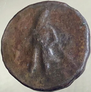 �Ñ�N�V���[�i���̍d�� �C���h�E�M���V������ 113-127�N ���B�}�� �V���@ �e�g���h���N�} ��