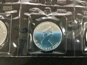 1989N Ji_ [v[t 0.9999  1IX BU 10Zbg E1376