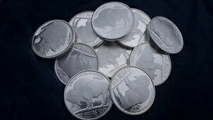 ���b�g (10) �o�b�t�@���[ 1�I���X ���E���h �V���o�[ �C���f�B�A�� - �ʐ^�̒ʂ� - �n���w��!! ���t??