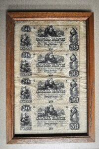 1800Ñm[X_R^Bj[I[Y^͋s50hْfV[g - z薢ْfV[g