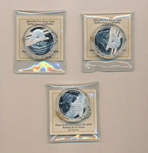 2016�N�R�C���A�J�i�_�R�C���A10�h���R�C���A�z�b�L���N�M�c�l�A�R�C��3���Z�b�g