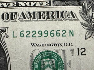 2013N 1h gCi[s[^[t@V[ VAio[ 62299662 󏭎