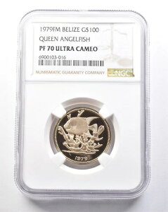 1979N FM x[Y 100h NC[G[tBbV PF70 UCAM NGC *5368