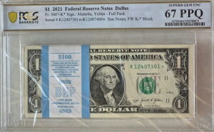 2021N 1h 100 X^[m[g  V[PV _X 67 PPQ WF