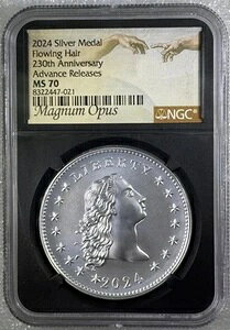 2024N 悤Ȕ Vo[ oeB _ NGC MS70 AhoX[X }Oi IvX