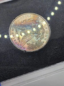 1882 CC �����K���E�_���[ GSA MS63 ���E�Ӓ菑�t�� �� �����X�^�[���C���{�[�g�[�����o�[�X