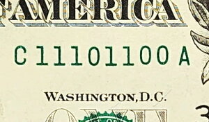 UNC TRUE BINARY NOTE~11101100~ t@V[VAio[ 1h ʉ