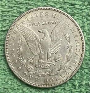 1902N [K *** ʏԂ̗ǍDȃRC - ʐ^I #6209