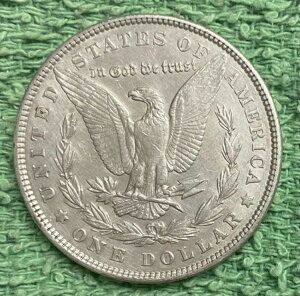 1902N [K *** ʏԂ̗ǍDȃRC - ʐ^I #6210