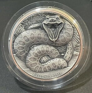 2025 10g �� 145g �� �o�k�A�c �_�u���V���o�[ ����A�i�R���_�ߐH�҃R�C��