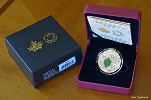 2017N 20h Ji_Y ̗tƃhD[W[Xg[ 1IX .9999 Vo[ v[t