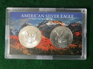 2021 Vo[C[ORNV T1 & T2 fBXvC -TD4