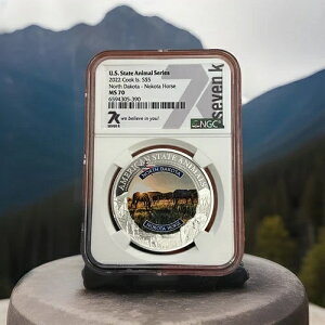 čBV[Y | m[X_R^BmR^z[X | 2022 MS70 | NGCNbN