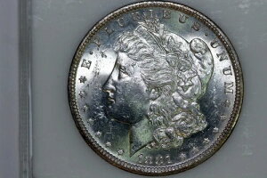 1881-S K݁iقڔFAZ~v[t̂悤ȕ\ʁj-115307007