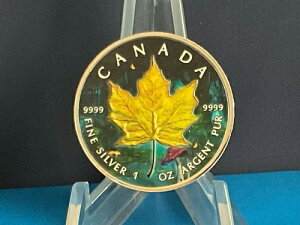 2021N 1IX Vo[ JifBA[vBu~XeBJtHXgGfBVvBiؖtAB