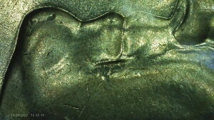 2006 D bvAL鑽̂̂ƓlɁADD A@AAz