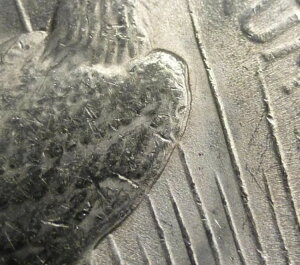 1922N ANACS MS 62 DDR a݁iVAM-7B DDR Wing Top-50 Varietyj
