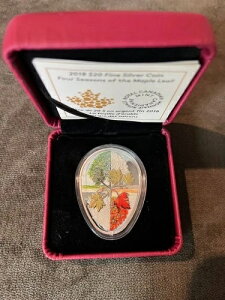 2018�N $20 �t�H�[�V�[�Y���Y ���[�v�����[�t �V���o�[ RCM