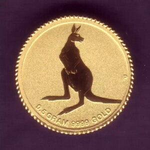 I[XgAB2014NJK[݁i2hjBp[XǔsB11.6mmA0.5OBUNC/BU