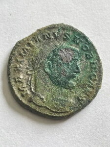 [}̃RC tHX܂̓kX fBINeBAkX (10-11/P3/1)