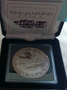 ��� 1�I���X �A�t���J�̖쐶���� �ۂ̃g�C�� ANA �V�J�S �X�J�C���C�� 2023 BU �\�}���A