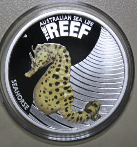 2010N I[XgA 50Zg #F5935 1/2IXuI[XgA[tV[z[Xv