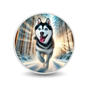 kɌ̎F~삯nXL[̊yjO 1IXRC