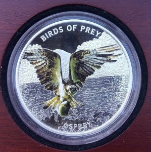 2013 jEG ~TS ҋח 1IX Vo[ 999/1000 j[W[h ~g v[t J[