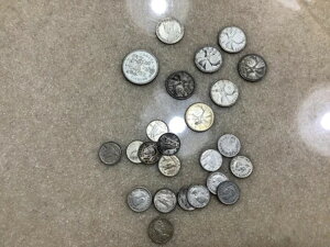 3.85hzʃJi_ *ރfB[[AÂ݌* f炵bgAȂ