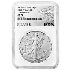 2025-W o[jbVdグ 1h AJ Vo[ C[O NGC MS70 ER ALS x