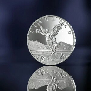 2025 ���x���^�b�h 1000 �T�g�V �A�����J���O�� �Í��ʉ� 1�I���X ���