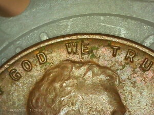 1953-P J[ EB[g yj[ 1Zg Ɋ󏭂ȃRCBuWev̕ȔWŕ\LĂB