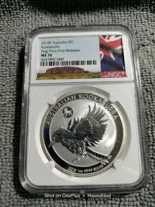 2018 "P" I[XgA 1IX Vo[CJZ~ *DOG PRIVY* $1 NGC MS70