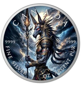 2025NJi_ [v[t AkrX GfBV 1IX J[Vo[ A[gRC