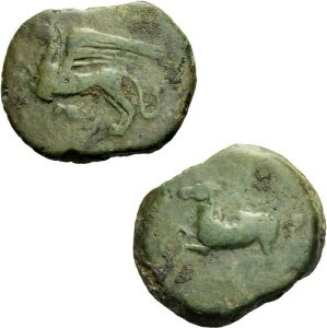 ACTEVV[ uYOtB [JXgz[X X^[ JCm b b-