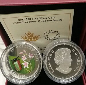 2017N xl`AE[mKX gEN[`[Y hbOxCEr[g 20h 