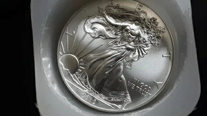 bg20 2012N Vo[C[OX - f炵ʕiI݂͔؂ꑱo