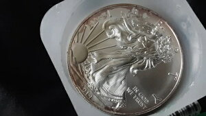 bg20 2014N Vo[C[OX - f炵ʕiI݂͔؂ꑱo