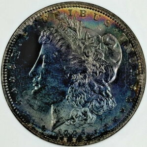 1886-P 1�h�� �����K���E�_���[ NGC MS63 - �����ȃV�A���ƃ}�[���^�̎��ӕ��g�[�j���O