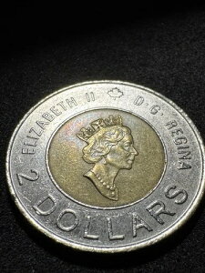 ���A�ȃG���[2000 Toonie Knowledgede�B���D�B