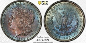 1881�N �����K����� MS65 PCGS �����X�^�[�g�i�[