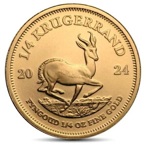 2024N 1/4IX AtJ N[K[h (BU)