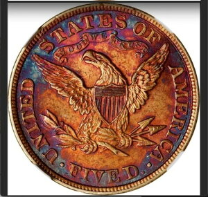 1899 NGC MS S[WXJ[Y - T[heBAXuX^_[h MS67 - n[tC[O 5h
