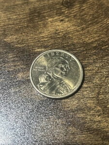 SACAGAWEA 1621 pmAO USA hRC-2011 D (A)