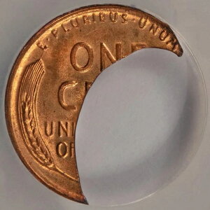 NGC MS66RD NZgNbv 1.1O EB[gZg ~gG[ f炵O