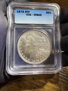 1878 8TF ICG MS65 ���[�K����݁A���H 8 �� - �t���X�e�B�[ & �z���C�g !!