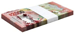 KCAi 2000hA2021NAP-42AUNCLOA|}[ 100Zbg