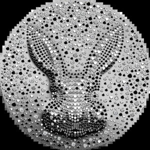 50h݁uubNEH[^[rbg 2023vj[NȃMtgA