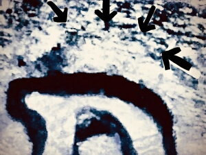 1944N D/S J[ EB[g yj[/Zg - OMM FS-01-1944D-511 BU ~gG[