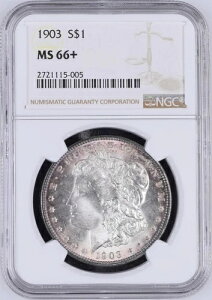 1903-P �����K����� NGC MS66+ - - �S�[�W���X�ȃu���X�g�z���C�g�����X�^�[